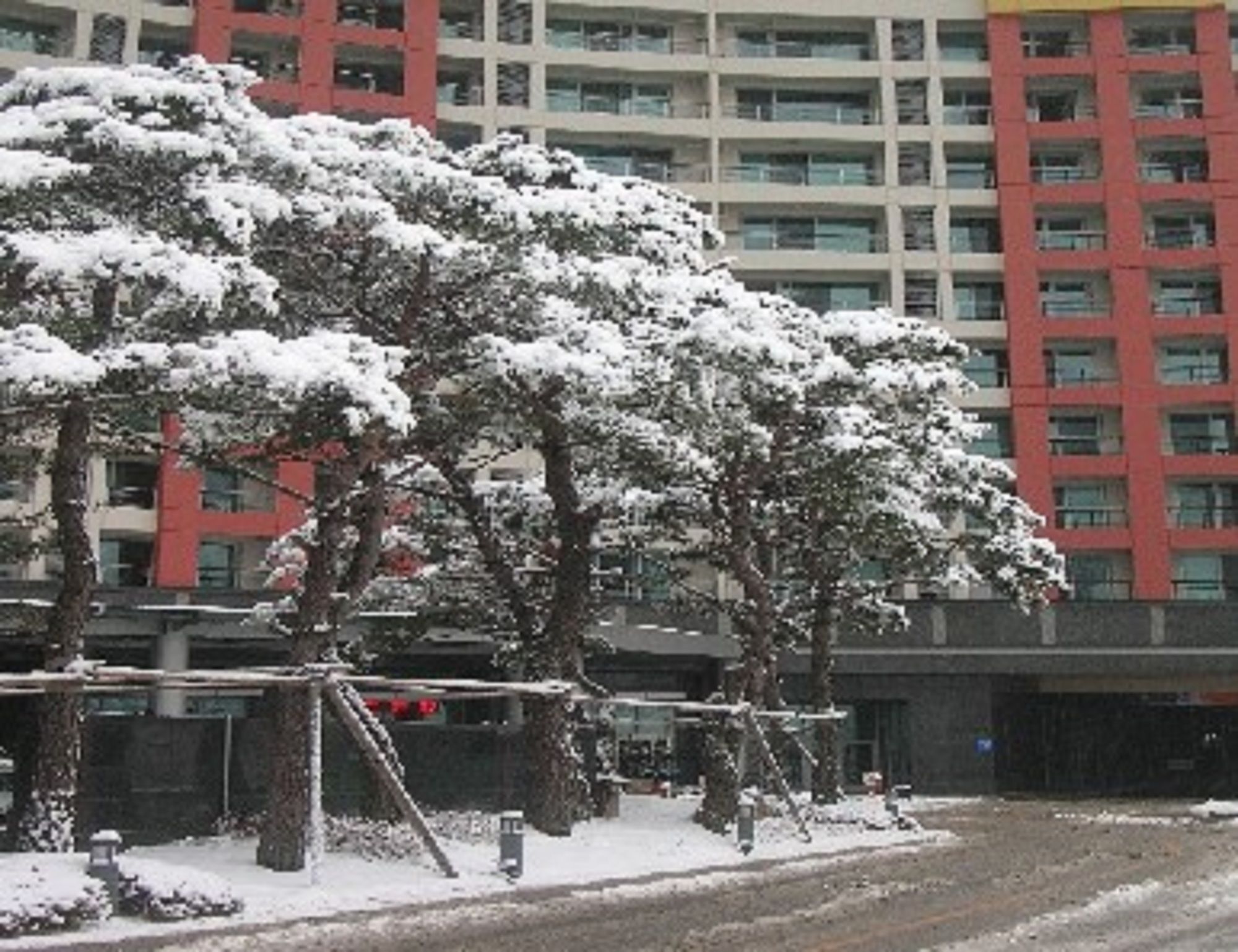 Jeongseon Mayhills Resort Eksteriør billede